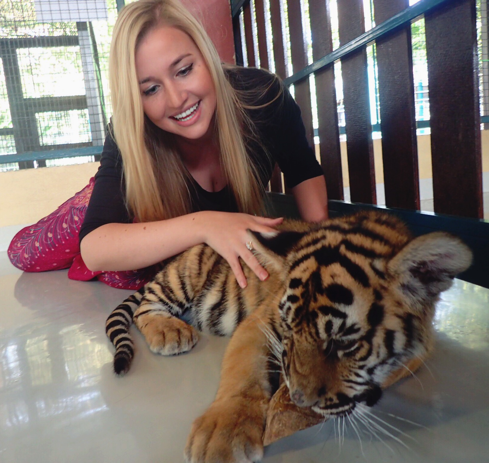 Playing with tigers in Thailand